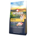 ONTARIO ADULT MINI FISH&BROWN RICE 6,5KG Karma dla Dorosłych Psów Małych Ras z Białą Rybą i Ryżem Brązowym