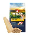 ONTARIO ADULT MINI FISH&BROWN RICE 6,5KG Karma dla Dorosłych Psów Małych Ras z Białą Rybą i Ryżem Brązowym