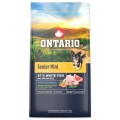 ONTARIO SENIOR MINI FISH&BROWN RICE 6,5KG Karma dla Starszych Psów Małych Ras z Białą Rybą i Ryżem Brązowym