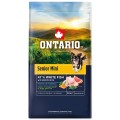 ONTARIO SENIOR MINI FISH&BROWN RICE 6,5KG Karma dla Starszych Psów Małych Ras z Białą Rybą i Ryżem Brązowym