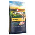 ONTARIO SENIOR MINI FISH&BROWN RICE 6,5KG Karma dla Starszych Psów Małych Ras z Białą Rybą i Ryżem Brązowym