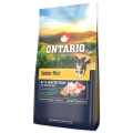 ONTARIO SENIOR MINI FISH&BROWN RICE 6,5KG Karma dla Starszych Psów Małych Ras z Białą Rybą i Ryżem Brązowym