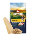 ONTARIO SENIOR MINI FISH&BROWN RICE 6,5KG Karma dla Starszych Psów Małych Ras z Białą Rybą i Ryżem Brązowym