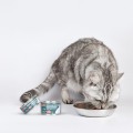 Comfy Premium Mousse Karma Mokra dla Kotów Sterylizowanych Kastrowanych z Tuńczykiem 85g
