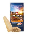 ONTARIO ADULT MEDIUM FISH&BROWN RICE 12KG Karma dla Dorosłych Psów Średnich Ras z Białą Rybą i Ryżem Brązowym