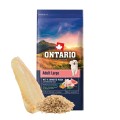 ONTARIO ADULT LARGE FISH&BROWN RICE 12KG Karma dla Dorosłych Psów Dużych Ras z Białą Rybą i Ryżem Brązowym