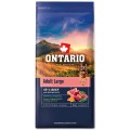 ONTARIO ADULT LARGE BEEF&BROWN RICE 12KG Karma dla Dorosłych Psów Dużych Ras z Wołowiną i Ryżem Brązowym