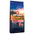 ONTARIO ADULT LARGE BEEF&BROWN RICE 12KG Karma dla Dorosłych Psów Dużych Ras z Wołowiną i Ryżem Brązowym