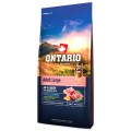 ONTARIO ADULT LARGE BEEF&BROWN RICE 12KG Karma dla Dorosłych Psów Dużych Ras z Wołowiną i Ryżem Brązowym