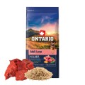 ONTARIO ADULT LARGE BEEF&BROWN RICE 12KG Karma dla Dorosłych Psów Dużych Ras z Wołowiną i Ryżem Brązowym