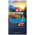 ONTARIO PUPPY ALL BREADS MONO TUNA&POTATOES 6,5KG Karma Monoproteinowa dla Szczeniąt Wszystkich Ras z Tuńczykiem i Słodkim Ziemniakiem