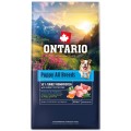 ONTARIO PUPPY ALL BREADS MONO TURKEY&POTATOES 6,5KG Karma Monoproteinowa dla Szczeniąt Wszystkich Ras z Indykiem i Słodkim Ziemniakiem