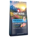 ONTARIO PUPPY ALL BREADS MONO TURKEY&POTATOES 6,5KG Karma Monoproteinowa dla Szczeniąt Wszystkich Ras z Indykiem i Słodkim Ziemniakiem