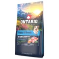 ONTARIO PUPPY ALL BREADS MONO TURKEY&POTATOES 6,5KG Karma Monoproteinowa dla Szczeniąt Wszystkich Ras z Indykiem i Słodkim Ziemniakiem