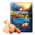 ONTARIO ADULT ALL BREADS MONO TURKEY&POTATOES 2,25KG Karma Monoproteinowa dla Dorosłych Psów Wszystkich Ras z Indykiem i Słodkim Ziemniakiem