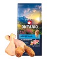ONTARIO ADULT ALL BREADS MONO TURKEY&POTATOES 12KG Karma Monoproteinowa dla Dorosłych Psów Wszystkich Ras z Indykiem i Słodkim Ziemniakiem