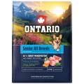 ONTARIO SENIOR ALL BREADS MONO TURKEY&POTATOES 2,25KG Karma Monoproteinowa dla Starszych Psów Wszystkich Ras z Indykiem i Słodkim Ziemniakiem