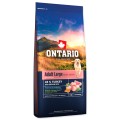 ONTARIO LARGE WEIGHT CONTROL TURKEY&B. RICE 12KG Karma dla Dużych Psów z Nadwagą z Indykiem i Ryżem Brązowym