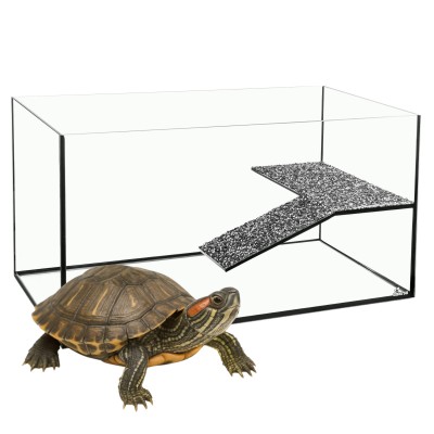 Diversa Akwaterrarium z Wyspą 80x40x40cm 6mm dla Żółwia Wodno-Lądowego