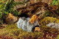 Exo Terra Wet Rock Ceramiczna Jaskinia Kryjówka dla Gadów 20x13x11cm rozm. L