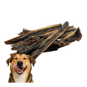 ideaPet Naturalny Przysmak Gryzak dla Psa Skóra Wołowa 30cm