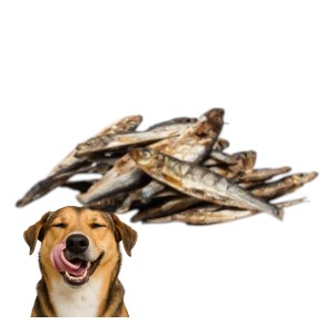 ideaPet Naturalny Przysmak Gryzak dla Psa Szprota Szprotka 100g