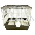 Klatka Transportowa Transporter dla Kanarków Gabbia Canarina Beż Taupe 28x18x26cm