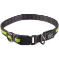 DF Nylonowa Solidna Obroża Podświetlana LED dla Psa S/M 35-50cm 19mm ZIELONA