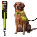 DF Nylonowa Solidna Smycz Podświetlana LED Przedłużka do Smyczy dla Psa 39cm 25mm ZIELONA