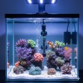 Grzałka Do Akwarium JENECA 200W z Termostatem Do 150-250L