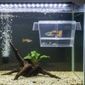 Jeneca Duży Kotnik Dwukomorowy Plastikowy dla Ryb 23x10x9,5cm