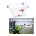 Jeneca Kotnik plastikowy dla Ryb 12,5x7x7cm