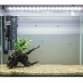 Jeneca YM-03 Skimmer Filtr Powierzchniowy do Akwarium 300l/h 5W