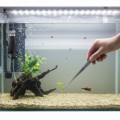 JENECA SZCZYPCE METALOWE PROSTE DO AKWARIUM PINCETA, PĘSETA 27CM