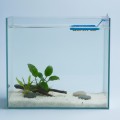 Jeneca F-100 Karmnik Plastikowy Pływający Kwadratowy Niebieski 10x10cm