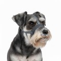Baskerville Kaganiec INVISA Fizjologiczny Przezroczysty Plastyczny Basket Muzzle rozm. 2 Sznaucer Terrier