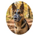 Baskerville Kaganiec INVISA Fizjologiczny Przezroczysty Plastyczny Basket Muzzle rozm. 5 Akita Husky