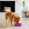 FUN FEEDER Miska Spowalniająca Jedzenie dla Psa XS RÓŻOWA