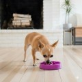 FUN FEEDER Miska Spowalniająca Jedzenie dla Psa XS RÓŻOWA
