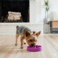 FUN FEEDER Miska Spowalniająca Jedzenie dla Psa XS RÓŻOWA