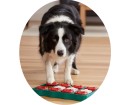Nina Ottosson Dog Brick Interaktywna Edukacyjna Gra Dla Psów poz. 2