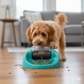 Nina Ottosson Dog Spin N'Eat Interaktywna Miska Spowalniająca Jedzenie do Karmy Suchej