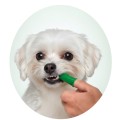 Vet's Best Puppy Dental Kit Zestaw do Mycia Zębów Żel i Szczoteczka dla Szczeniąt