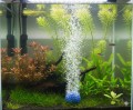 Kamień Napowietrzający do Akwarium KULA 5cm