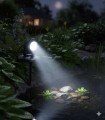 Aqua Nova Lampa Oświetlenie LED do Oczka Wodnego 2,2W z Czujnikiem Zmierzchu