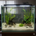 Aqua Nova Piasek Naturalny Jasny Drobny 5kg