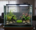 Aqua Nova Plant Soil Podłoże Aktywne do Akwarium Roślinnego 4kg 3L