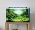 Aqua Nova Tło Dwustronne Do Akwarium Fototapeta Plants / Ocean L 100x50cm
