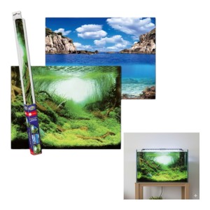 Aqua Nova Tło Dwustronne Do Akwarium Fototapeta  Plants / Ocean  S 60x30cm