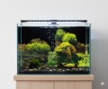 Aqua Nova Tło Dwustronne Do Akwarium Fototapeta Rock / Plants L 100x50cm